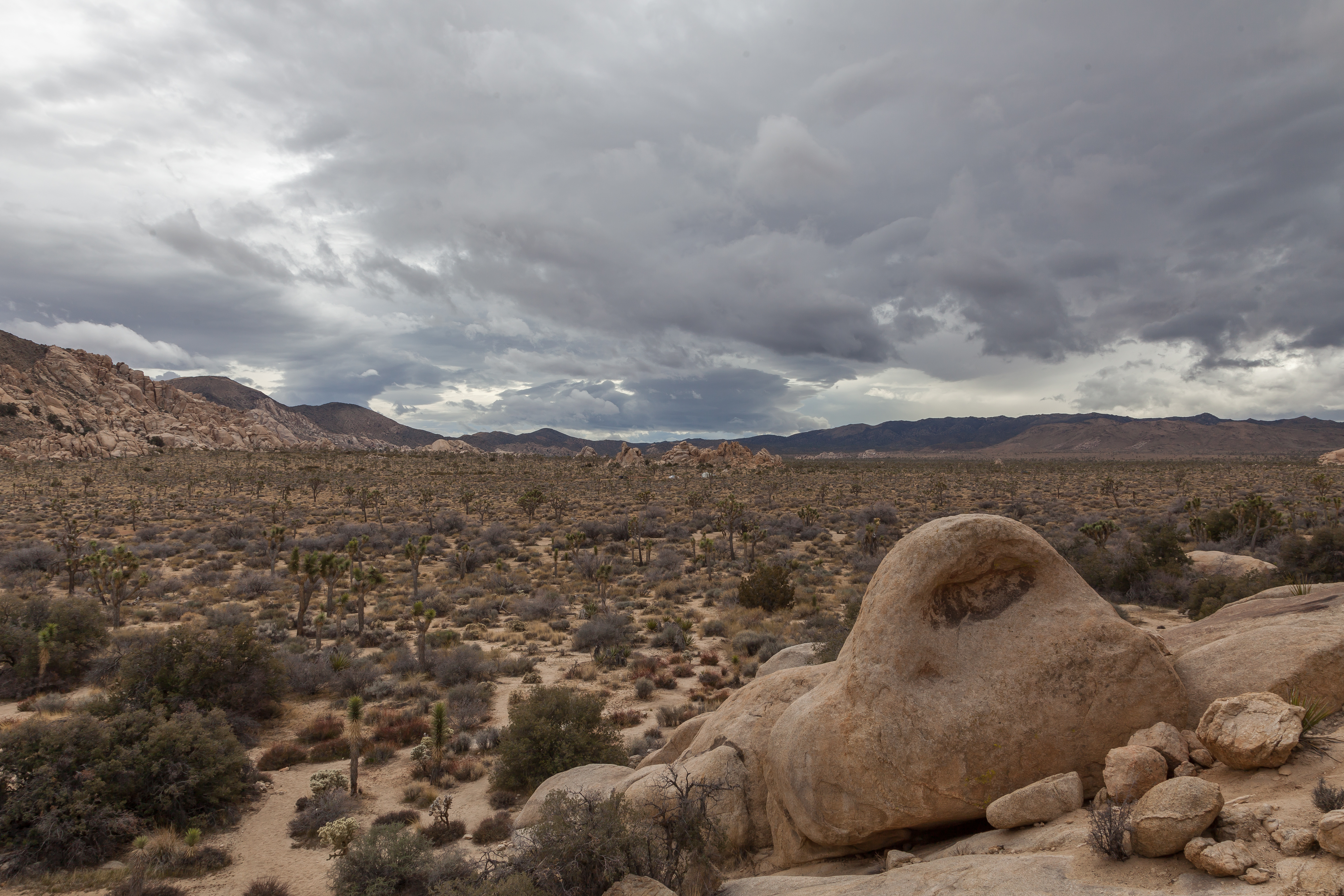 a cool looking rock in Joshua Tree National Park