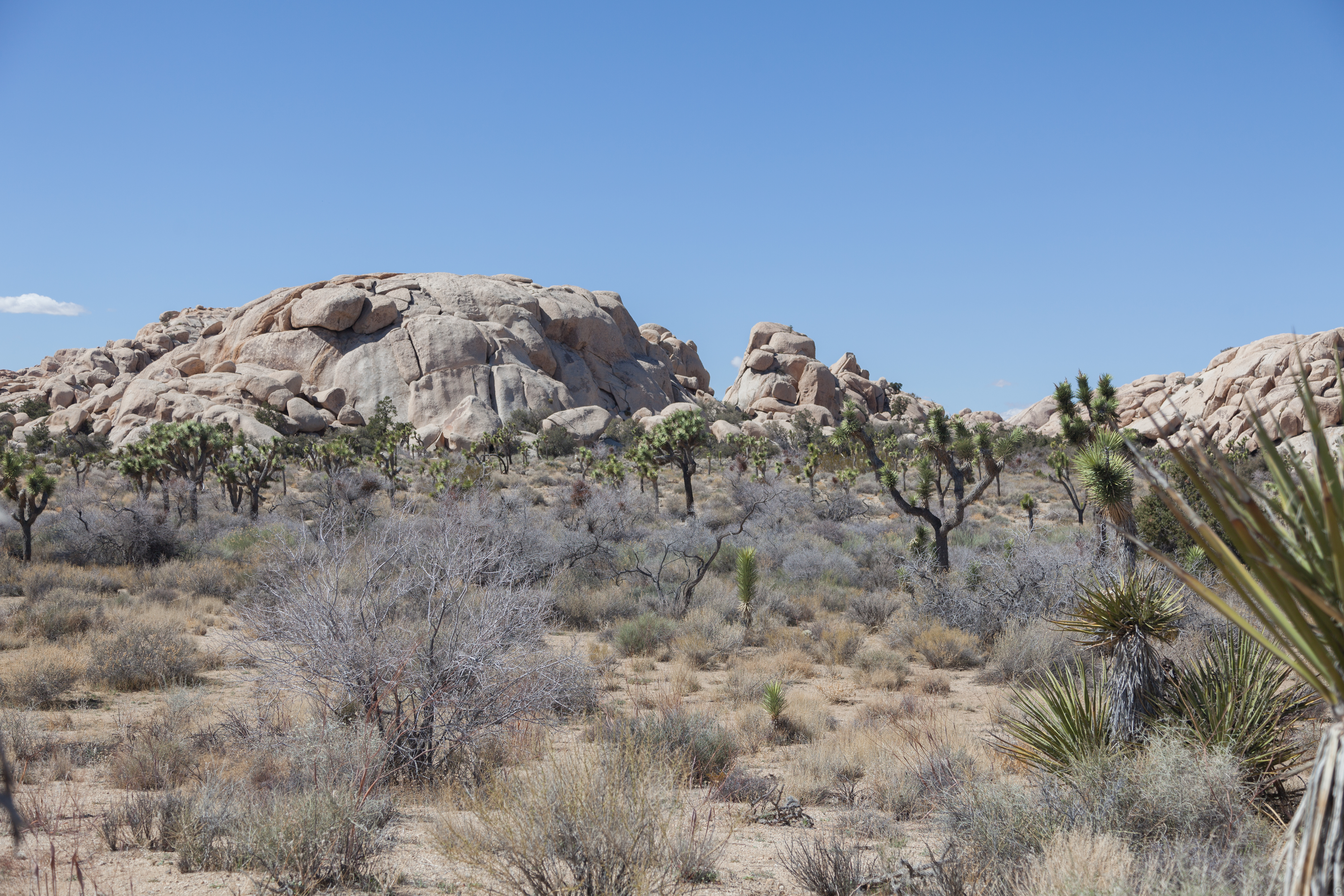 rocks surrounding Hidden Valley