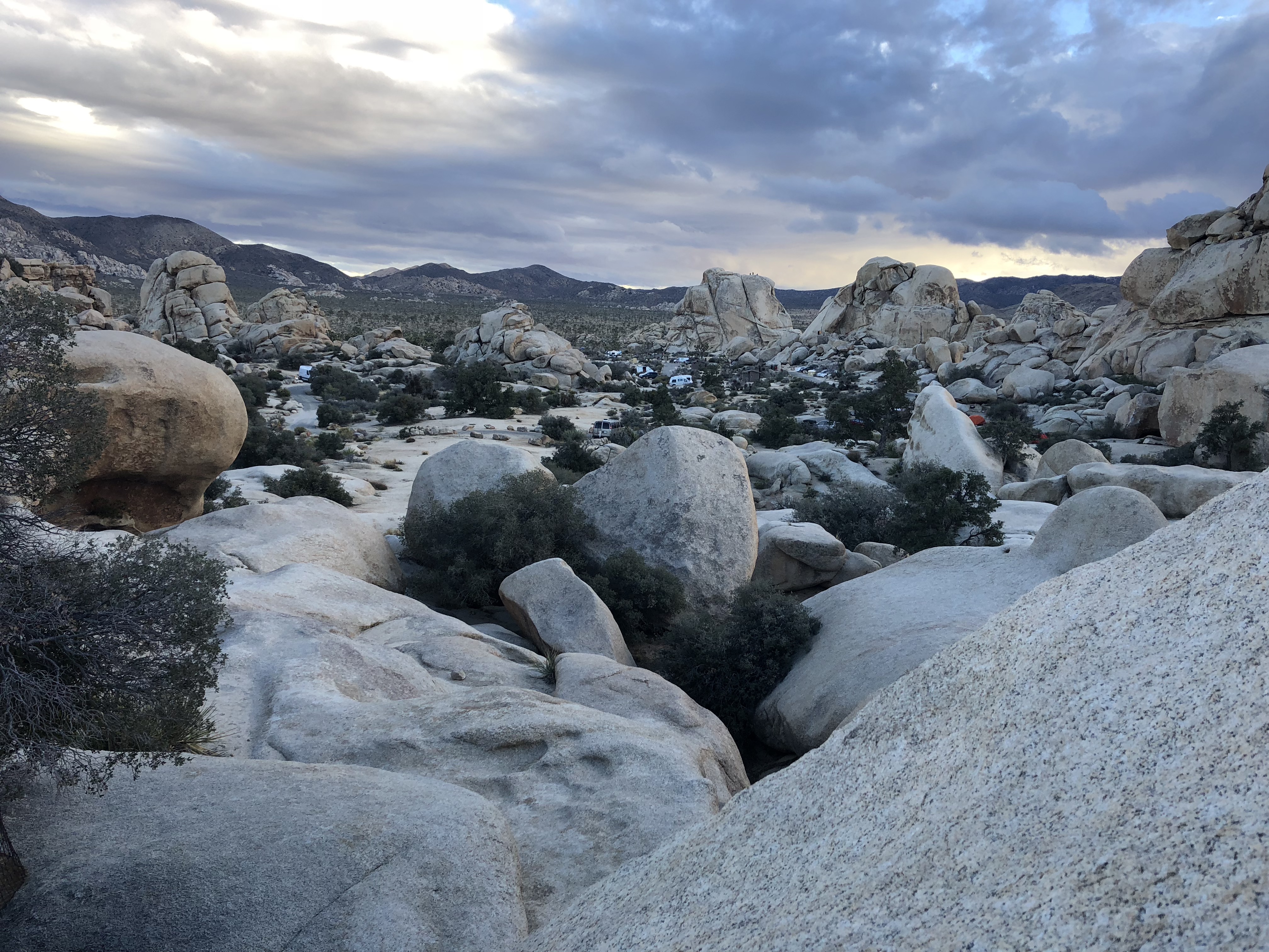 some rocks at Joshua Tree National Park