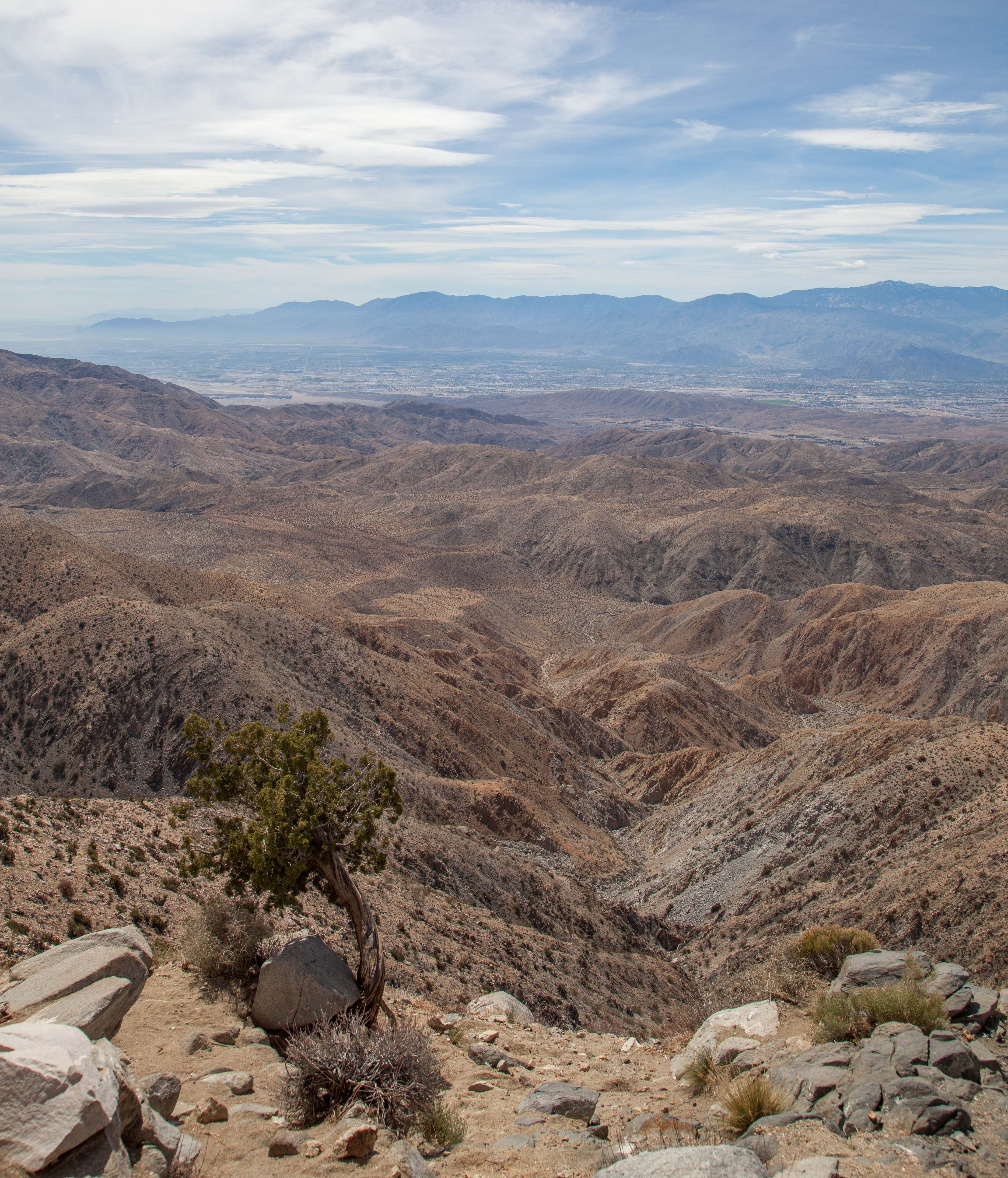 a pretty vista in Joshua Tree National Park