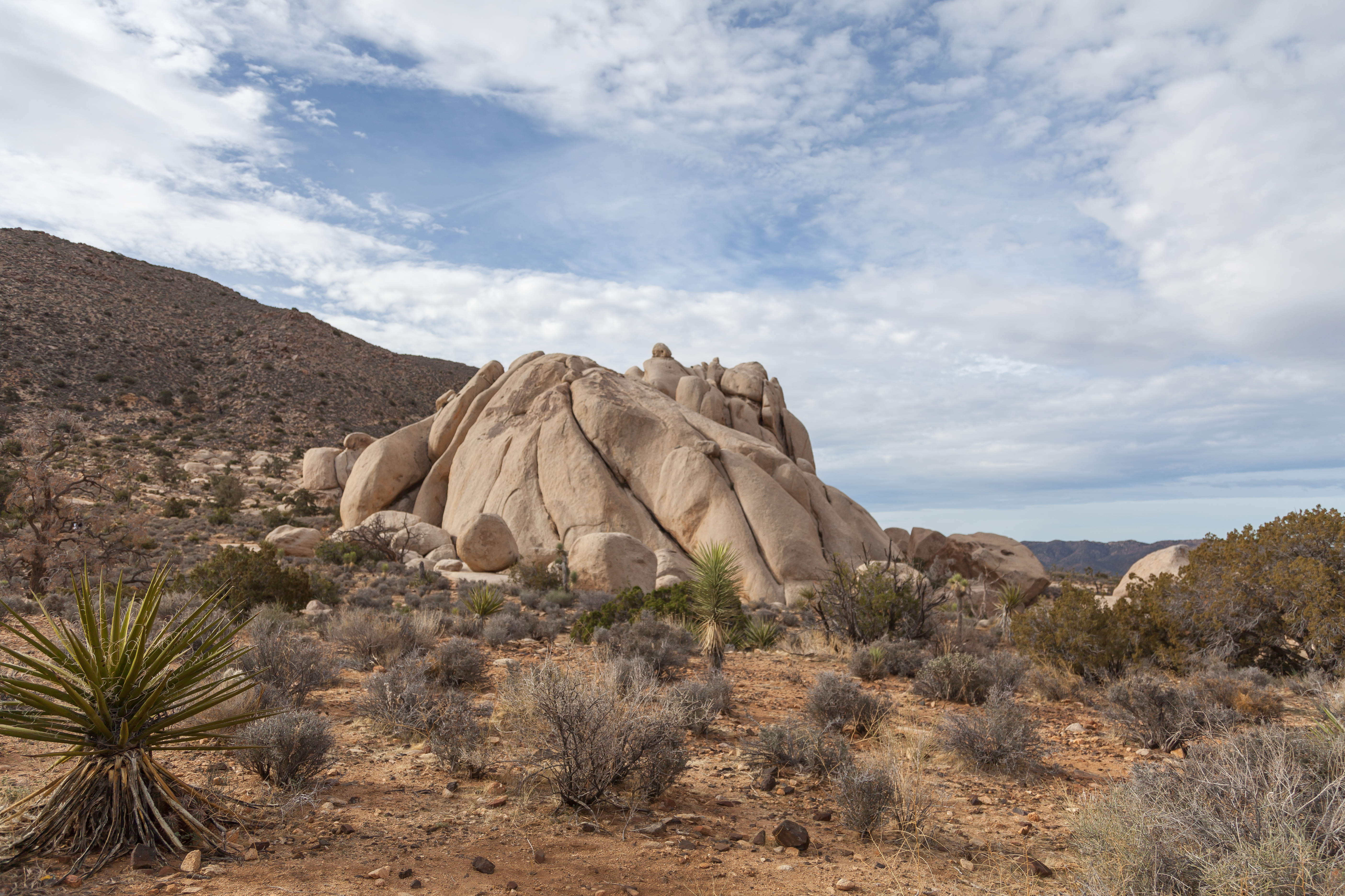 more rocks at Joshua Tree National Park
