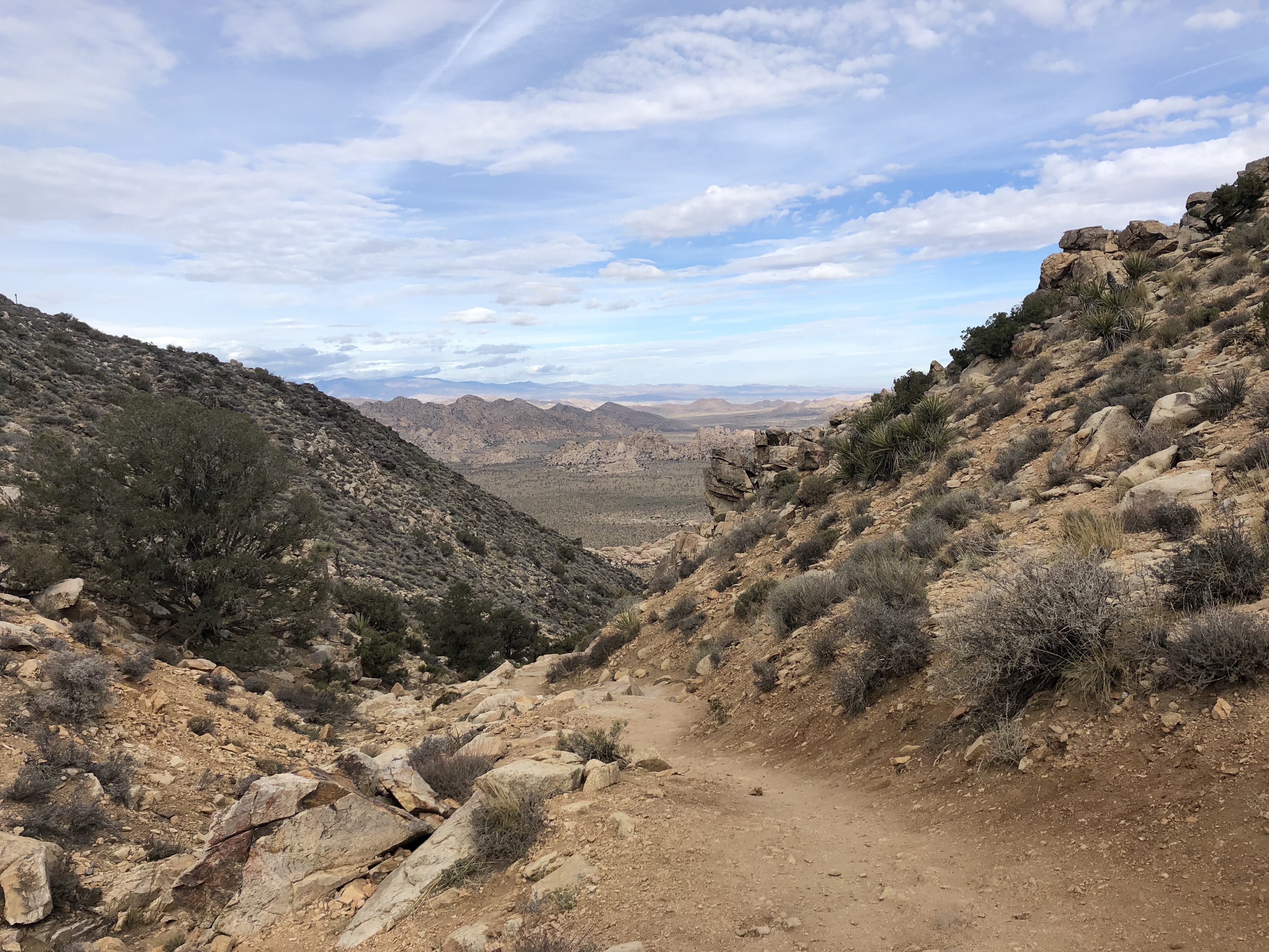 a trail in Joshua Tree National Park